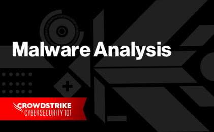 Malware analysis  Malicious activity