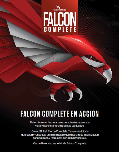 crowdstrike falcon flight control