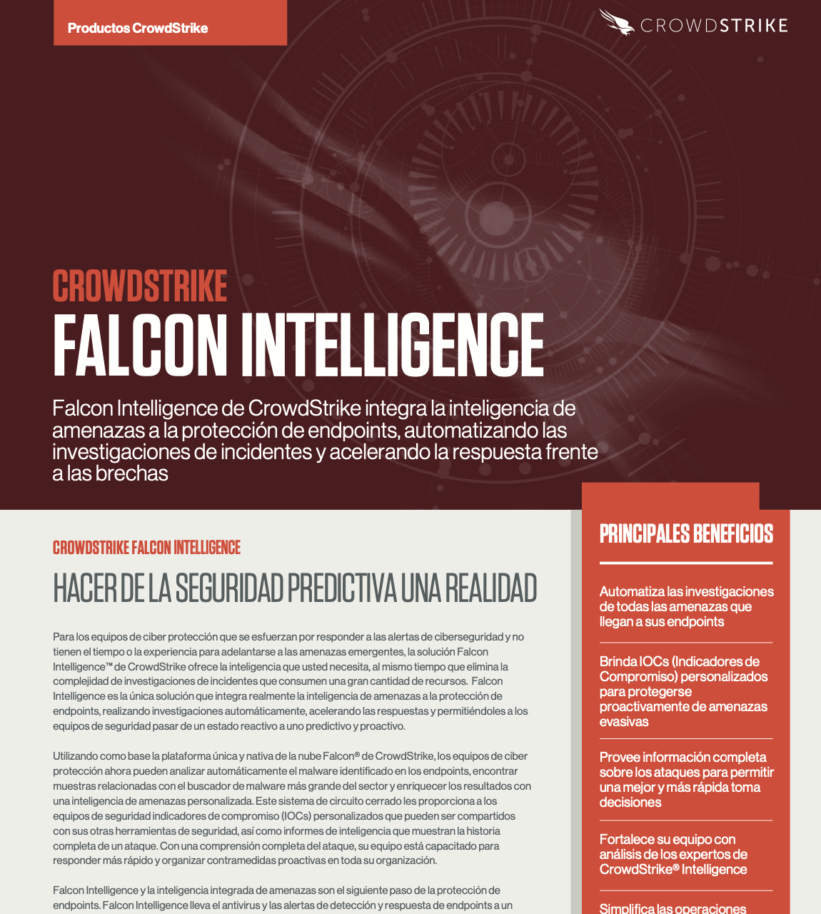 Falcon 2024 Crowdstrike Falcon Eada Nertie