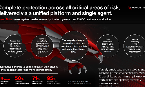 Four Ways CrowdStrike Protects Your Critical Areas Of Risk | Infographic