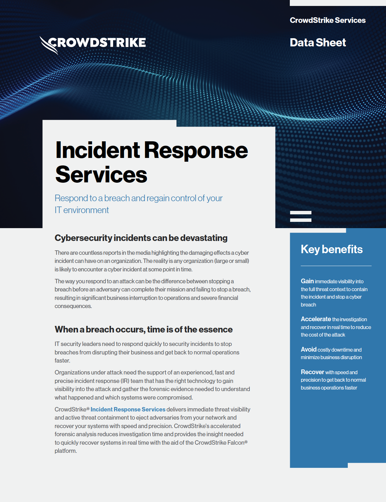 Incident Response Services Data Sheet CrowdStrike